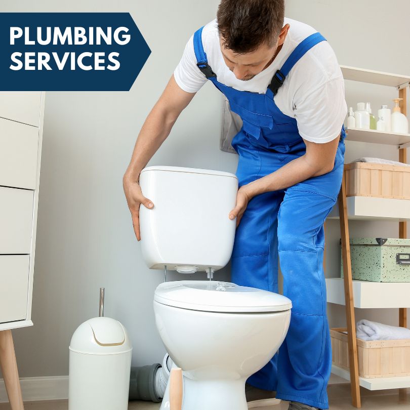 Plumbing Company in Wiley, GA